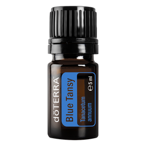 Blue Tansy