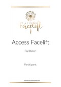 Access Facelift Manual