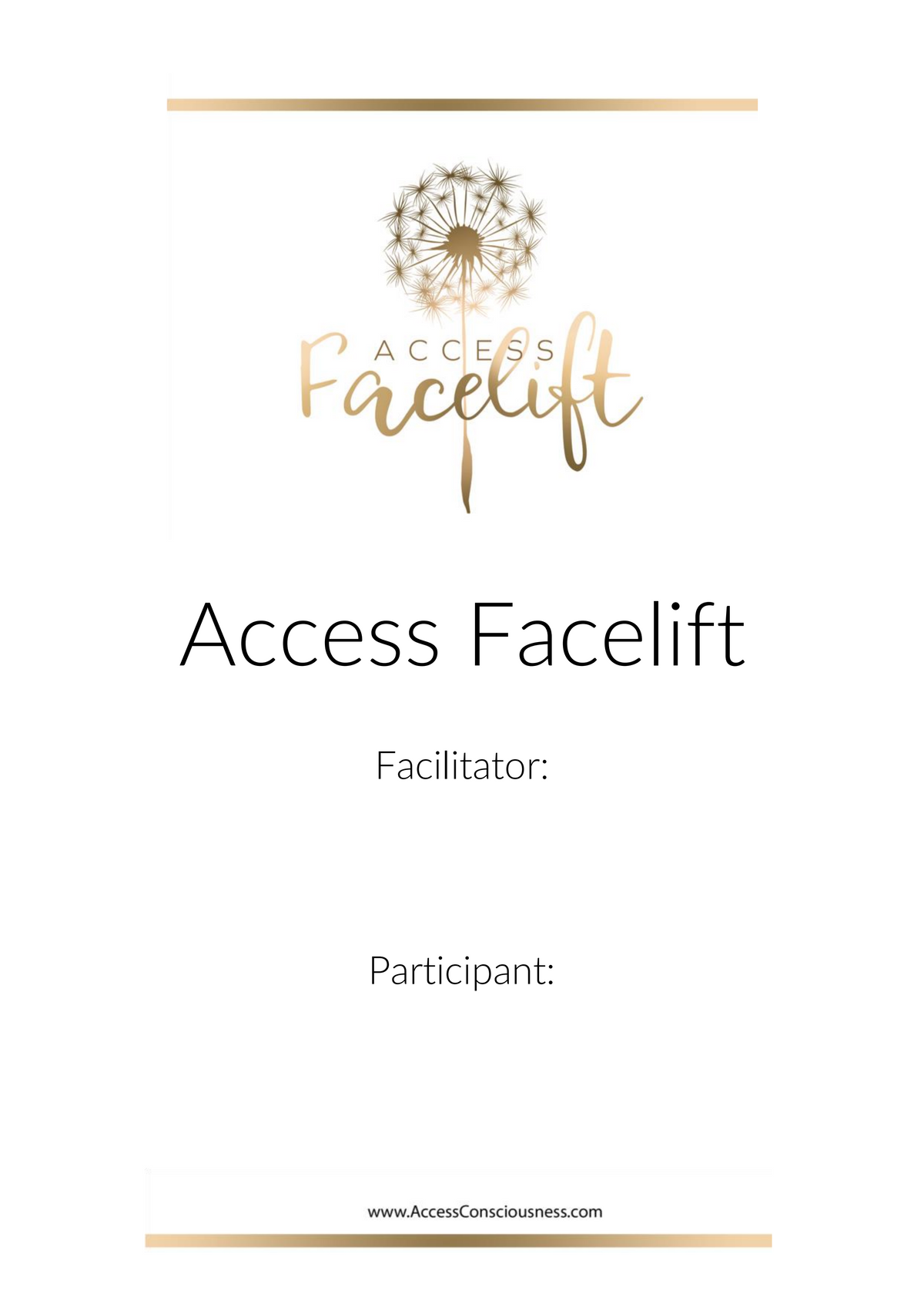 Access Facelift Manual