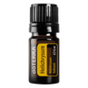 Helichrysum