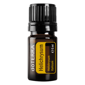 Helichrysum